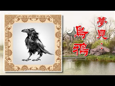 夢見鳥飛到頭上|夢見鳥：自由與希望的象徵 – 星座專家露娜老師